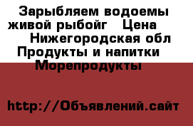 Зарыбляем водоемы живой рыбойг › Цена ­ 200 - Нижегородская обл. Продукты и напитки » Морепродукты   